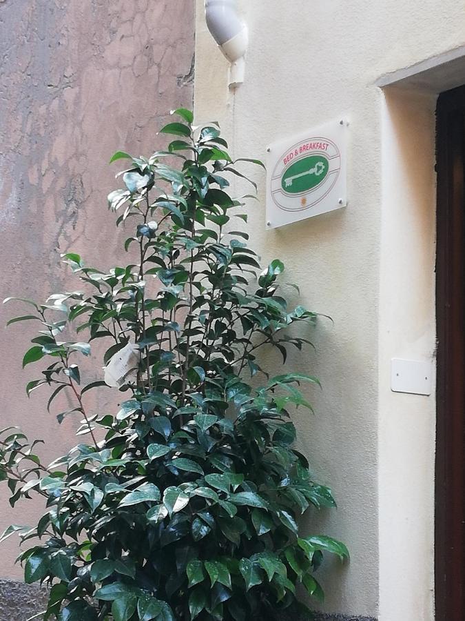 B&B Sotto Le Torri Albenga Extérieur photo